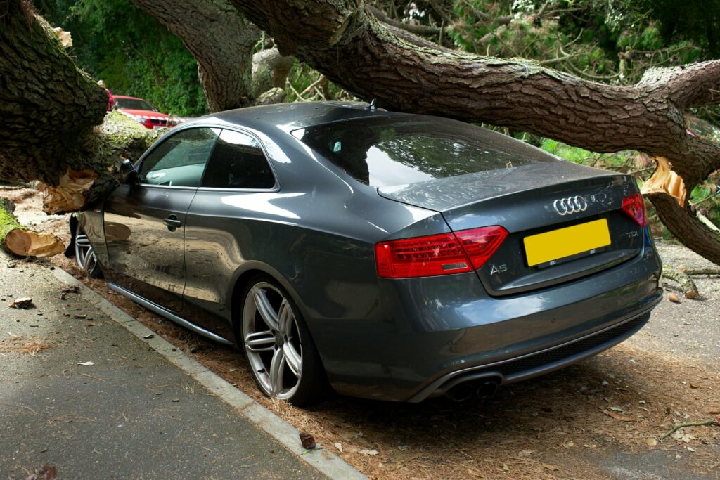 Audi coup crushed by fallen tree